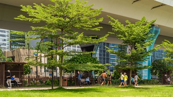 Seating areas along the promenade provide meeting points to meet with friends, stop for lunch, or simply relax and take in the views of the harbour.